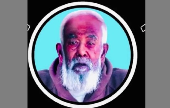 আমির হামজার স্বাধীনতা পুরস্কার বাতিল