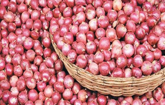 দিনাজপুরে কমেছে সব ধরনের পেঁয়াজের দাম