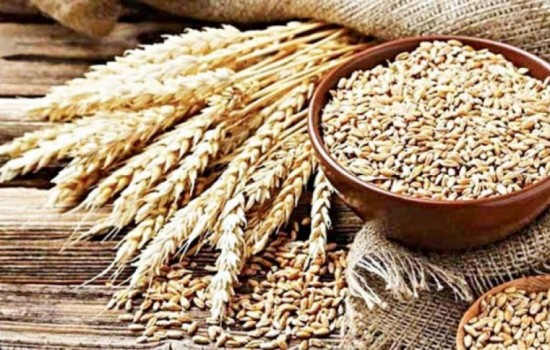 আফগানিস্তানকে খাদ্য সহায়তায় ১ কোটি টাকা দিচ্ছে বাংলাদেশ