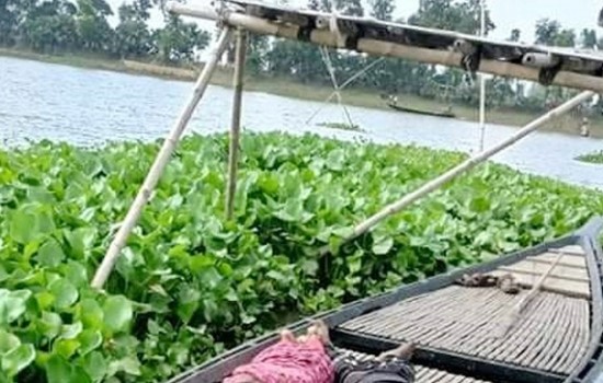নওগাঁয় একসঙ্গে স্বামী-স্ত্রীর আত্মহত্যা