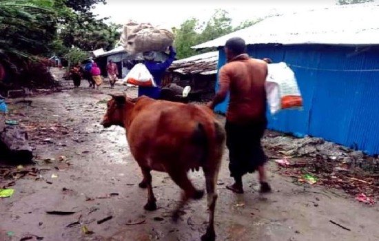 আশ্রয়কেন্দ্র থেকে ঘরে ফিরছে মানুষ