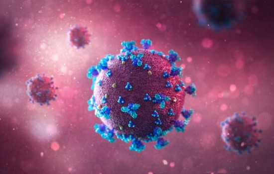 ২৪ ঘণ্টায় মৃত্যু ২, শনাক্ত ৪.৬৫ শতাংশ