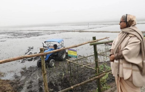 পৈত্রিক জমি পরিদর্শন করলেন প্রধানমন্ত্রী