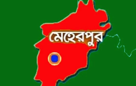 পাচার হবার ৩০ বছর পর দেশে ফিরলেন রেজিয়া
