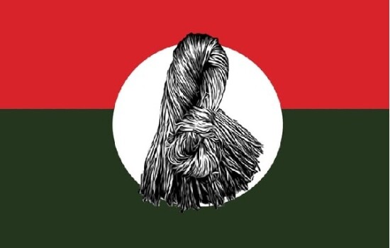 তৃণমূল বিএনপির মনোনয়ন পেলেন যারা