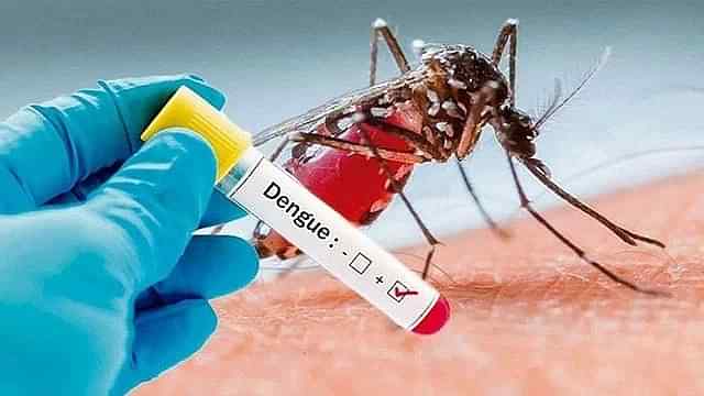 মৃত্যু শূন্য দিনে ডেঙ্গু আক্রান্তে ২০ জন হাসপাতালে ভর্তি