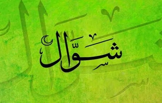 শাওয়াল মাসের ৬ রোজার ফজিলত