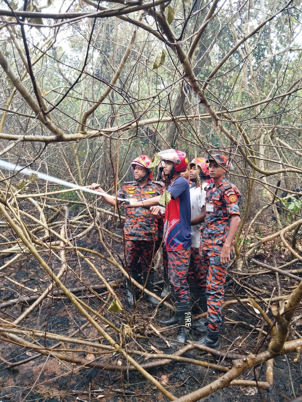 সুন্দরবনে সংঘটিত অগ্নিদুর্ঘটনার হালনাগাদ সংক্ষিপ্ত প্রতিবেদন