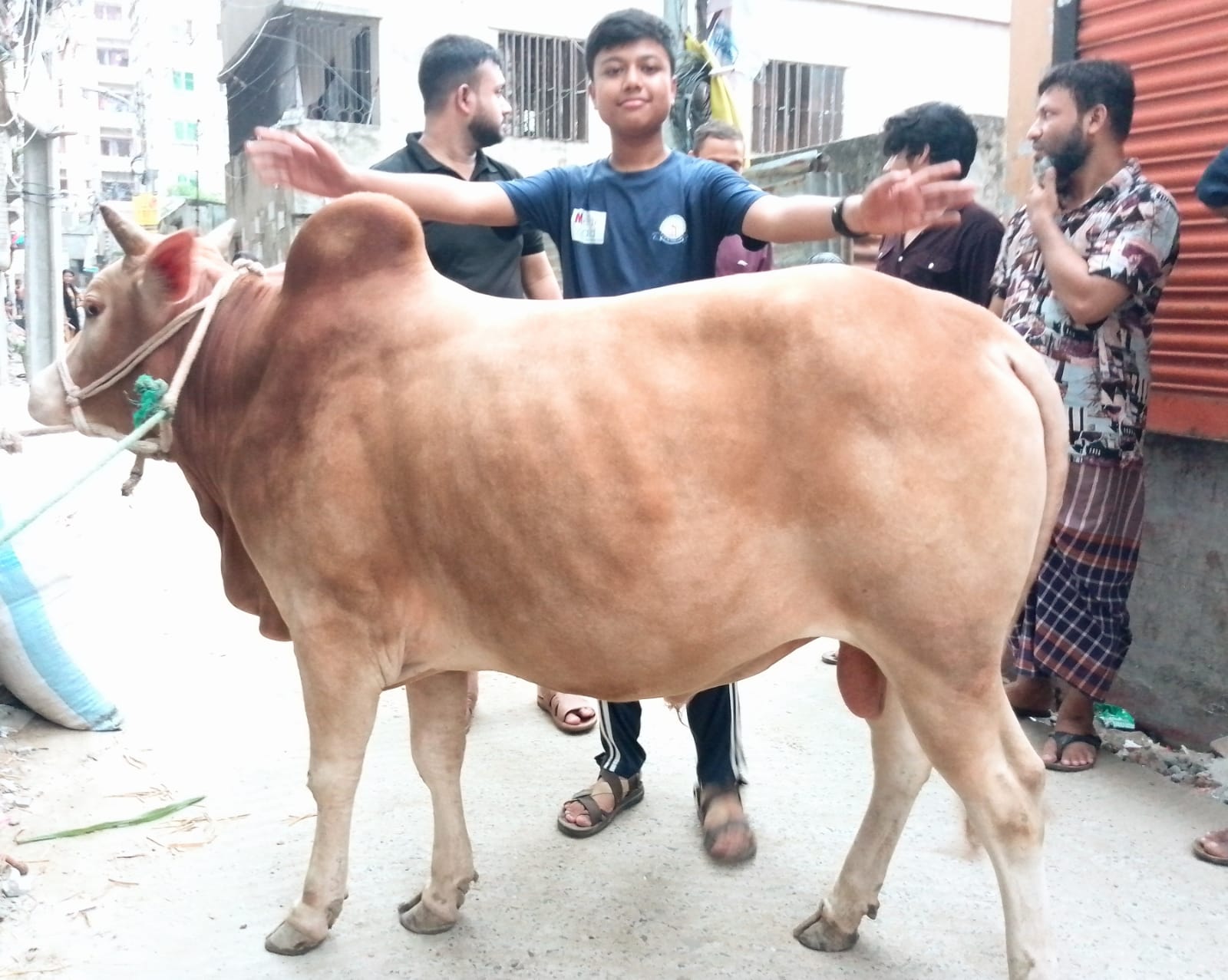 এ বছর ঈদুল আজহায় ১ কোটি ৪ লাখ ৮ হাজার ৯১৮ টি গবাদিপশু কোরবানি হয়েছে।