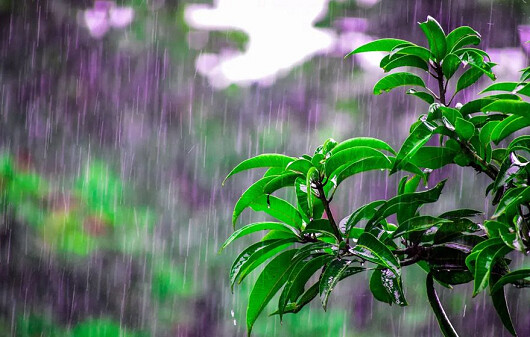 শুক্রবার দেশের অধিকাংশ জায়গায় বজ্রসহ বৃষ্টির সম্ভাবনা