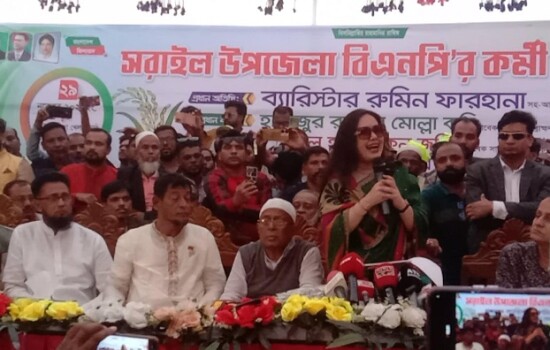 মানুষের ভালোবাসা থাকলেই রাজনীতি করা যায় : রুমিন ফারহানা