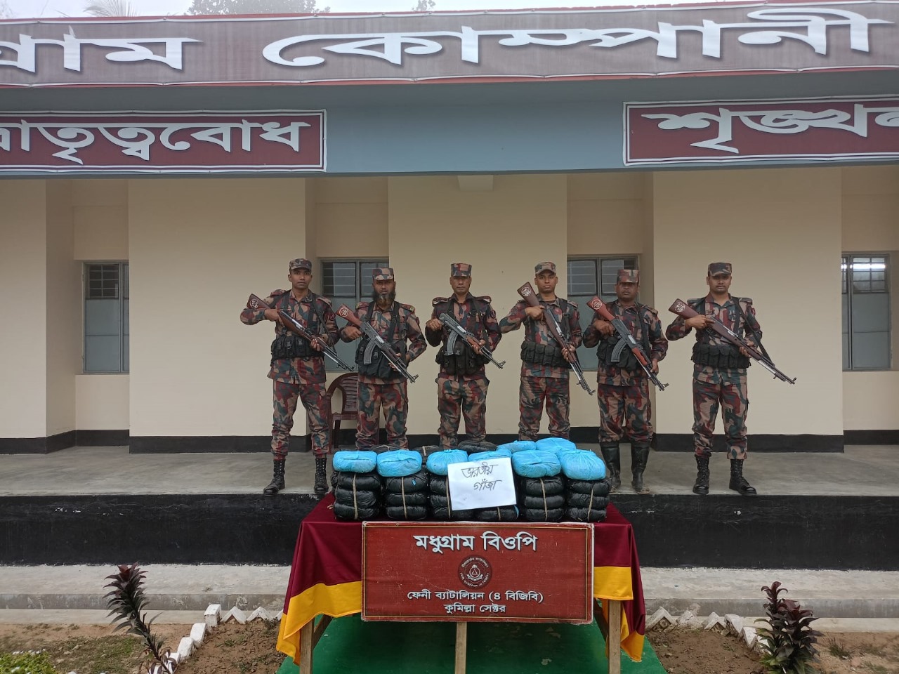 বিপুল পরিমাণ ভারতীয় গাঁজা জব্দ করেছে ফেনী ব্যাটালিয়ন (৪ বিজিবি)