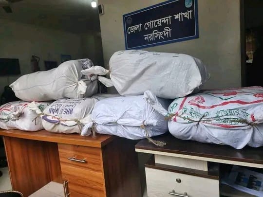 নরসিংদীতে গোয়েন্দা অভিযানে ৯৬ কেজি গাঁজা উদ্ধার