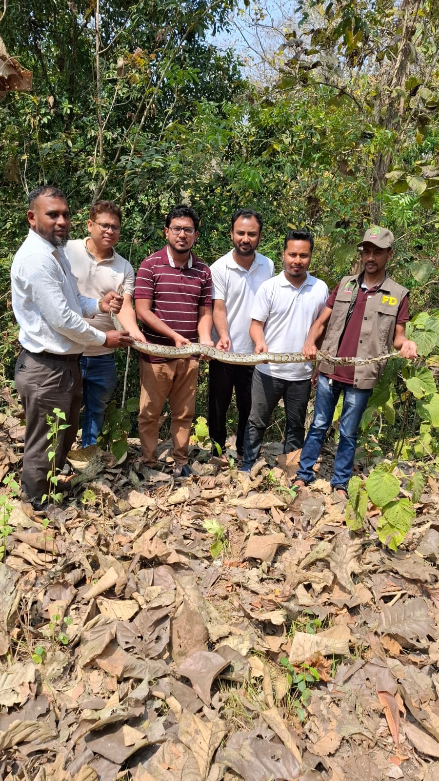 আটকে পড়া অজগর সাপ কাপ্তাই জাতীয় উদ্যানে অবমুক্ত