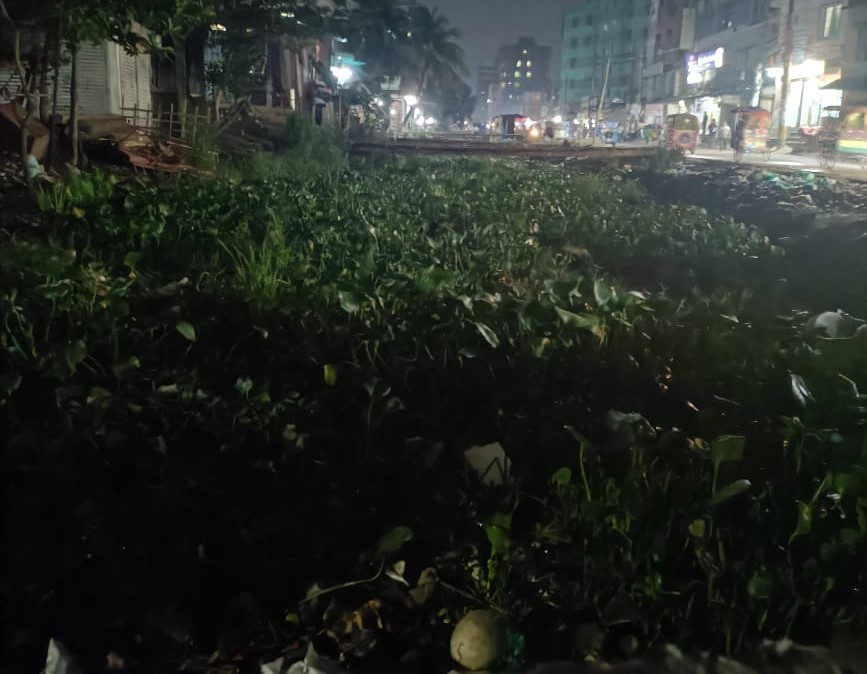 অবহেলায় মৃতপ্রায় শনিআখরা-মৃধাবাড়ি খাল, বর্ষার আগে চরম উদ্বেগে এলাকাবাসী