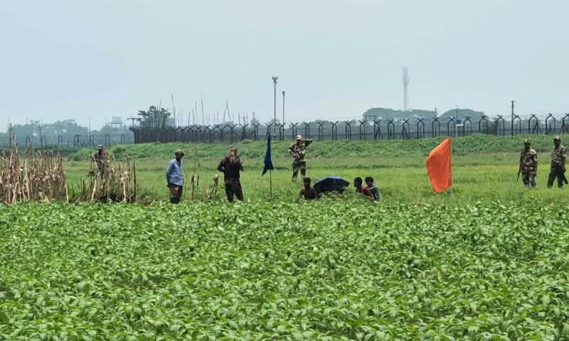 কুড়িগ্রামের রৌমারী সীমান্তে পুশইন চেষ্টা: নারী-শিশুসহ ৯ জন শূন্যরেখায়, সমাধানহীন অবস্থান